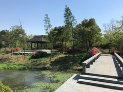 -尚贤河湿地