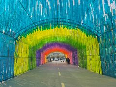 -海合安青岛极地海洋公园