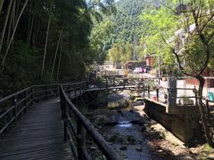 -山沟沟景区