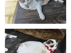 -两江国际影视城