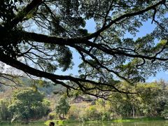 -福建土楼（南靖）云水谣景区-和贵楼
