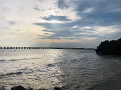 -宝安西湾红树林湿地公园