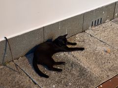 -普陀山风景名胜区-千步大沙