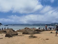 -北岐滩涂