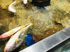-盒马鲜生(红莲店)