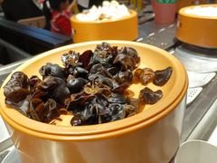 -龍歌自助小火锅(城阳万象汇店)
