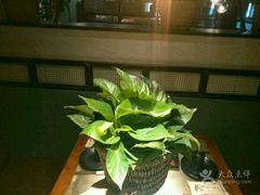 -手选潮汕鲜活牛肉火锅(二七广场店)