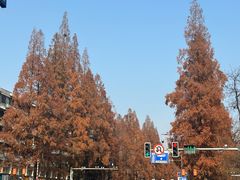 -笑云开汤包店(网巾市店)