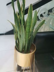 -LJOY丽锦造型·烫发染发