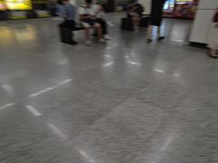 -陆家浜路(地铁站)