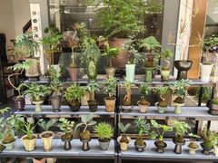 -苏州市皮市街花鸟工艺品市场