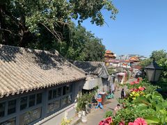 -Sirena海妖日咖夜酒