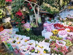-金科花卉市场