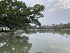 -江心屿景区