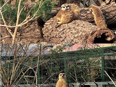 -天津市动物园