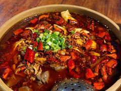 -青城甲(青城山店)