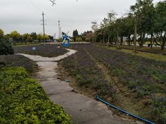 -广东花都香草世界旅游度假区