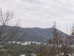 -香雪海