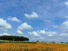 -江苏三台山国家森林公园