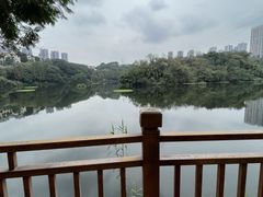 -重庆彩云湖湿地公园