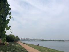-丁香湖公园