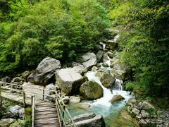 -鹿院坪生态旅游景区