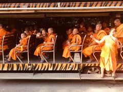 -清迈夜间动物园