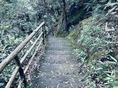 -东天目山风景区