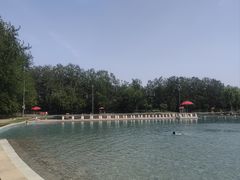 -柳浪游泳场