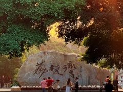 -荔湾湖公园