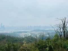 -岳麓山风景名胜区