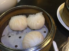 虾饺-糖朝(尖沙咀店)