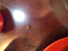 -昇记肠粉王(福华路店)