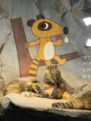 -Zoolung Zoolung动物主题公园(海信广场店)