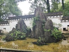 -南山植物园
