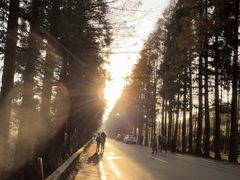 -山王坪喀斯特国家生态公园