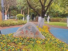 -洛龙公园