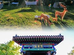 -沂蒙山旅游区云蒙景区(蒙山国家森林公园)