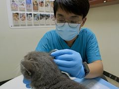 -美联众合动物医院·24h转诊中心
