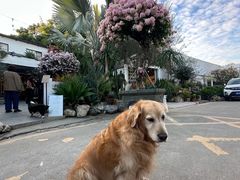 -自由生长植物工作室(深港花卉中心店)