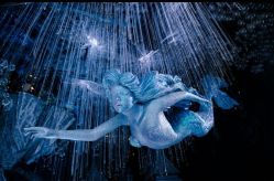 -华东饭店·园林式婚礼宴会厅酒店