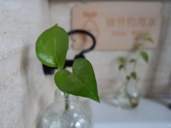 点击看大图 -Union瑜伽健康管理中心