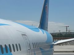 -乌鲁木齐天山国际机场-T3航站楼