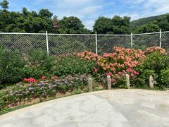 -青青世界