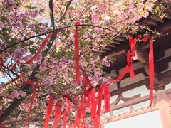 -西安青龙寺遗址景区