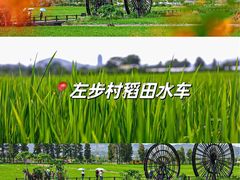 -左步村