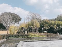 -和顺柏联温泉