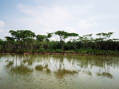 -东寨港红树林旅游区