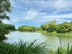 -梁鸿国家湿地公园