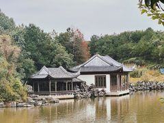 -龙天小镇